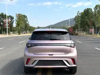 BYD Dolphin 2024 ed.