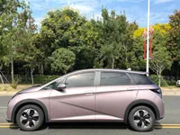 BYD Dolphin 2024 ed.