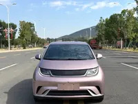 BYD Dolphin 2024 ed.