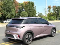 BYD Dolphin 2024 ed.