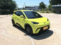 BYD Seagull 2024 ed.