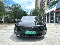Wuling Motors Wuling Starlight 2023 ed.
