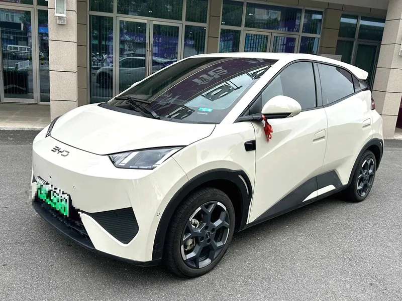 BYD Seagull 2025 ed.